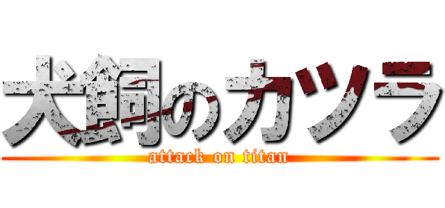 犬飼のカツラ (attack on titan)