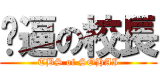 傻逼の校長 (TBS of SOHAI)