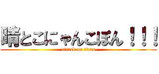 晴とこにゃんこぽん！！！ (attack on titan)