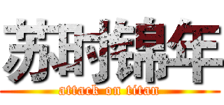 苏时锦年 (attack on titan)