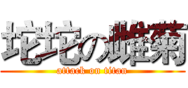 坨坨の雌菊 (attack on titan)