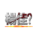 楊佳嬡 (衝衝衝!!!!)