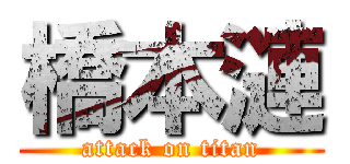 橋本漣 (attack on titan)