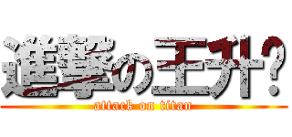進撃の王升财 (attack on titan)