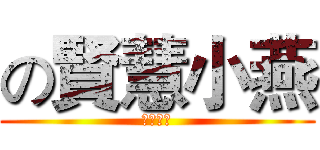 の賢慧小燕 (忍者生活)