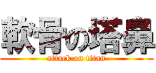 軟骨の塔鼻 (attack on titan)