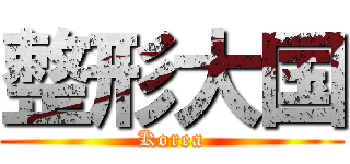 整形大国 (Korea)