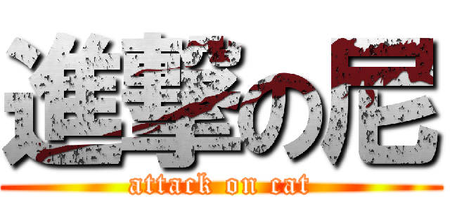 進撃の尼 (attack on cat)
