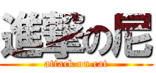 進撃の尼 (attack on cat)