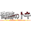 奇跡のトキ (attack on Toki)