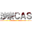沙奈ＣＡＳ (attack on titan)