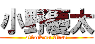 小野慶太 (attack on titan)