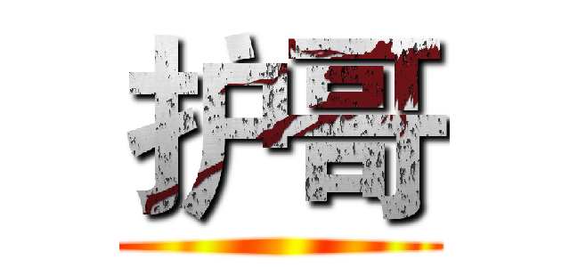 护哥 ()