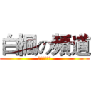 白楓の頻道 (。。。。。。)