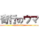 奇行のウマ (gold ship)