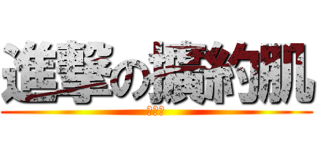進撃の擴約肌 (括約肌)