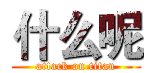 什么呢 (attack on titan)