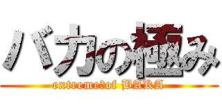 バカの極み (extreme　of BAKA)