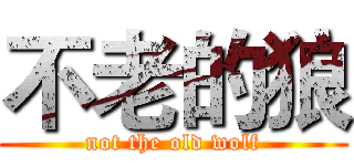 不老的狼 (not the old wolf)