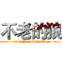 不老的狼 (not the old wolf)