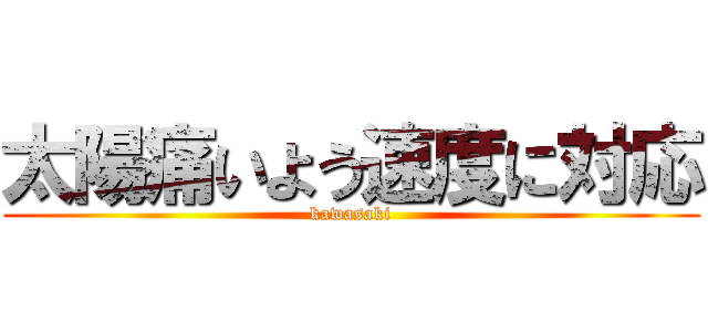 太陽痛いよう速度に対応 (kawasaki)