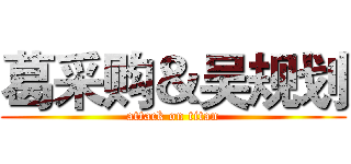 葛采购＆吴规划 (attack on titan)