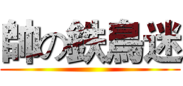 帥の鉄鳥迷 ()