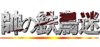 帥の鉄鳥迷 ()