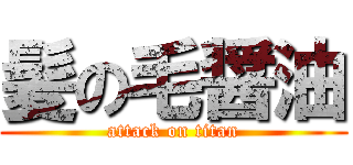 髪の毛醤油 (attack on titan)