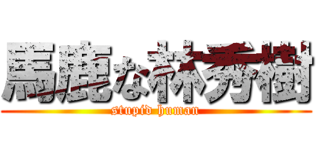 馬鹿な林秀樹 (stupid human)