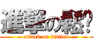 進撃の鬆糰 (attack on kitties)