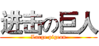 进击の巨人 (Large pigeon)