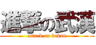 進撃の武漢 (attack on bukan)