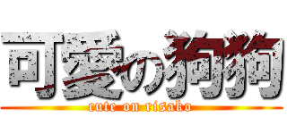 可愛の狗狗 (cute on risako)