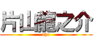 片山龍之介 (aho)