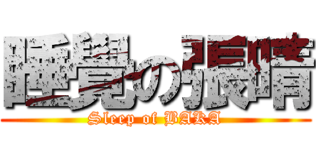 睡覺の張晴 (Sleep of BAKA)