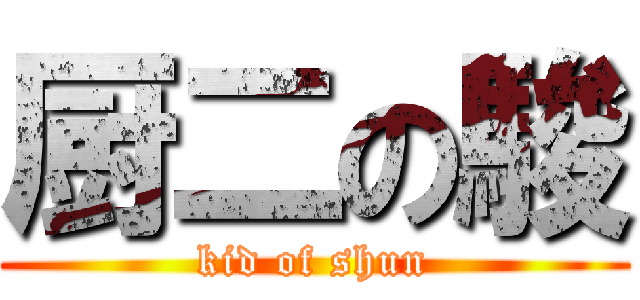 厨二の駿 (kid of shun)