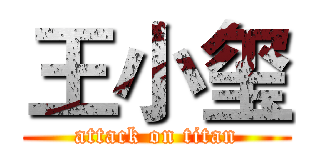 王小玺 (attack on titan)