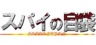 スパイの目袋 (SLAVE JAPAN)