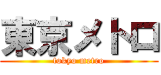 東京メトロ (tokyo metro)