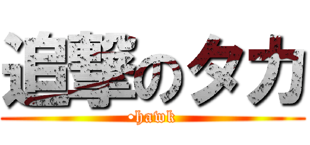 追撃のタカ (•hawk)