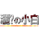 灑脫の小白 (attack on titan)