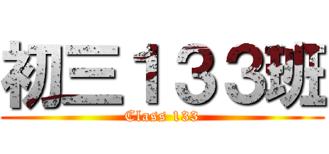 初三１３３班 (Class 133)