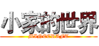 小家的世界 (MINECRAFT)