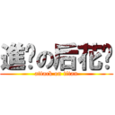 進擊の后花园 (attack on titan)