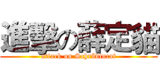 進擊の薛定貓 (attack on Schrödincat)