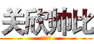 关欣帅比 (你熟悉吗)