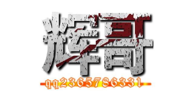辉哥 (qq2365786331)