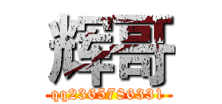 辉哥 (qq2365786331)