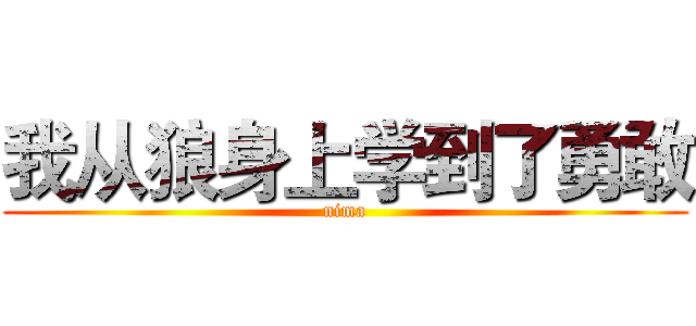 我从狼身上学到了勇敢 (nima)
